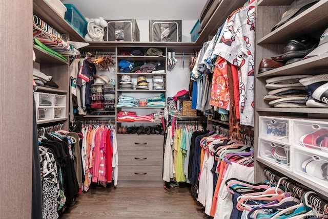 800 Grand Ave Unit 105, Carlsbad, CA 92008 - walk in closet with wood finished floors