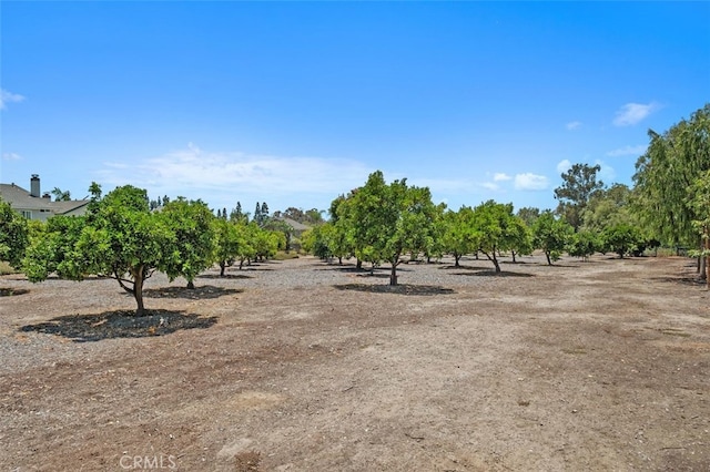 25572 Orchard Rim Ln, Lake Forest, CA 92630 - view of yard with a view of rural / pastoral area and agricultural plots