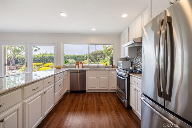 6935 Verde Ridge Rd, Rancho Palos Verdes, CA 90275 - kitchen featuring appliances with stainless steel finishes, under cabinet range hood, dark wood-style floors, tasteful backsplash, and white cabinetry