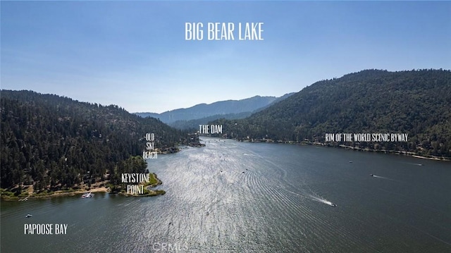 610 Cove Dr, Big Bear Lake, CA 92315 - photo 68