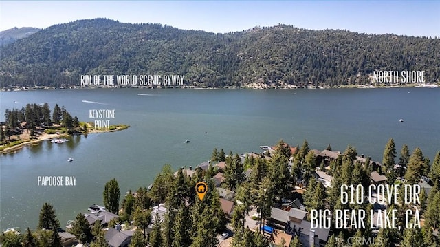 610 Cove Dr, Big Bear Lake, CA 92315 - photo 64