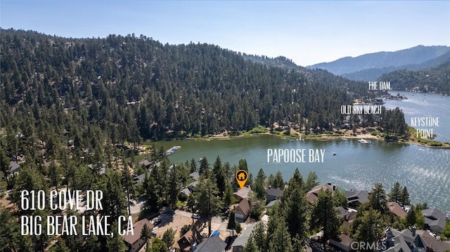610 Cove Dr, Big Bear Lake, CA 92315 - photo 63