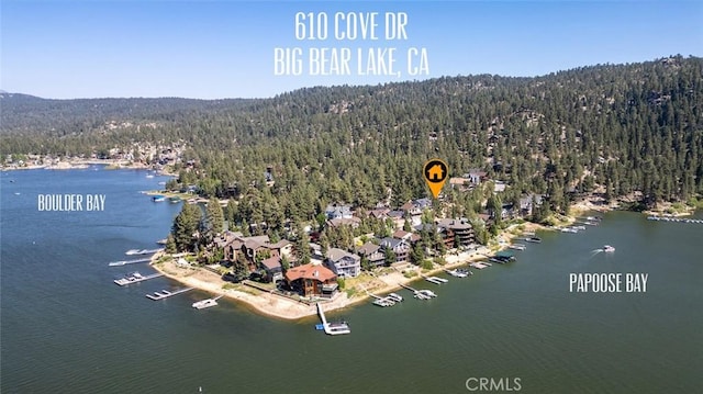 610 Cove Dr, Big Bear Lake, CA 92315 - photo 65