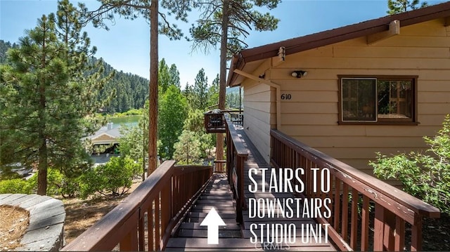 610 Cove Dr, Big Bear Lake, CA 92315 - photo 48