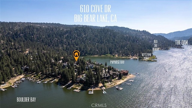 610 Cove Dr, Big Bear Lake, CA 92315 - photo 67