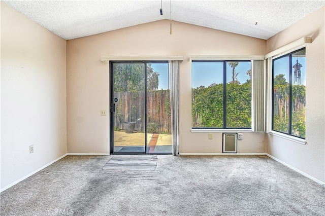 5050 Canyon Crest Dr Unit 5, Riverside, CA 92507 - empty room with vaulted ceiling, carpet flooring, and a textured ceiling