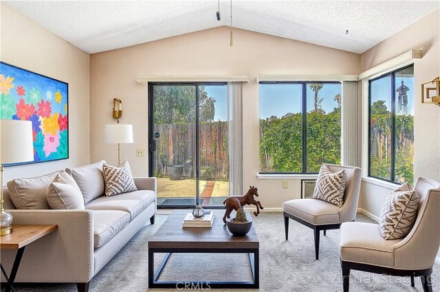 5050 Canyon Crest Dr Unit 5, Riverside, CA 92507 - carpeted living room with lofted ceiling, plenty of natural light, and a textured ceiling