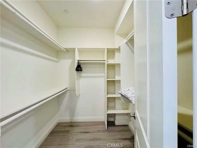 118 N Allen Ave Unit 2, Pasadena, CA 91106 - walk in closet featuring wood finished floors