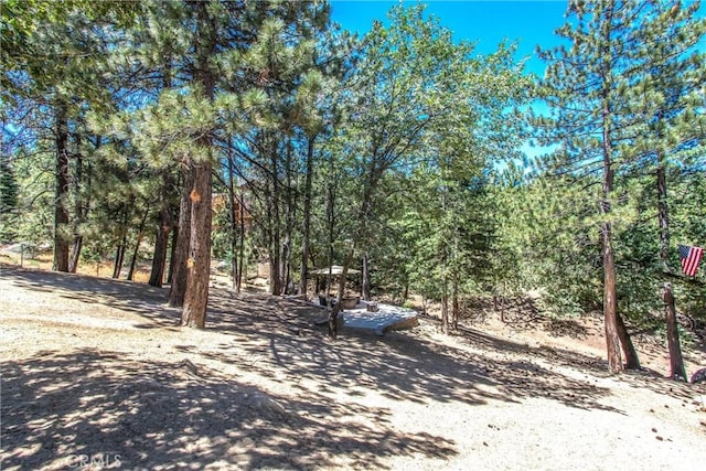 32425 Snowshoe Ln, Running Springs, CA 92382 - view of yard featuring a wooded view