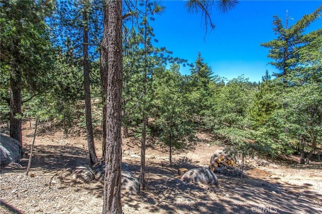 32425 Snowshoe Ln, Running Springs, CA 92382 - view of local wilderness