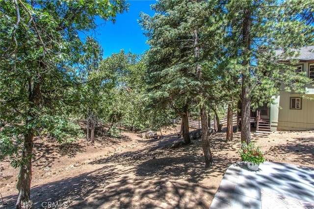 32425 Snowshoe Ln, Running Springs, CA 92382 - view of yard