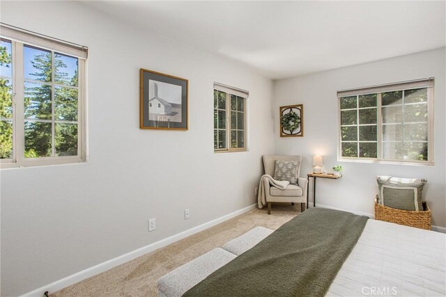 32425 Snowshoe Ln, Running Springs, CA 92382 - bedroom featuring carpet and multiple windows