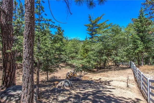 32425 Snowshoe Ln, Running Springs, CA 92382 - view of road