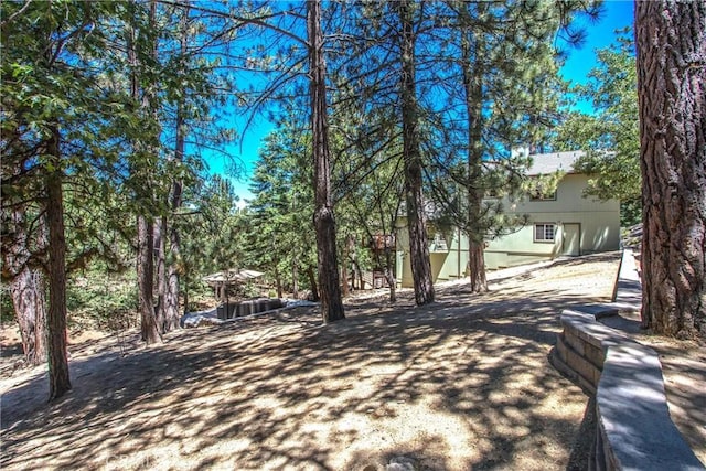 32425 Snowshoe Ln, Running Springs, CA 92382 - view of road