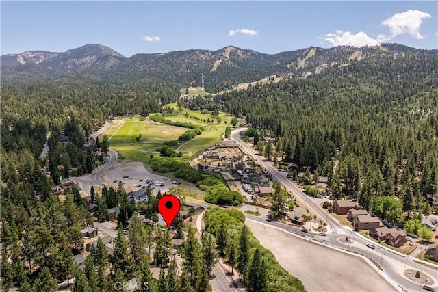 42817 Encino, Big Bear Lake, CA 92315 - photo 27