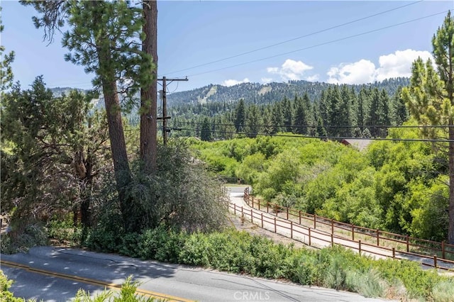 42817 Encino, Big Bear Lake, CA 92315 - photo 30