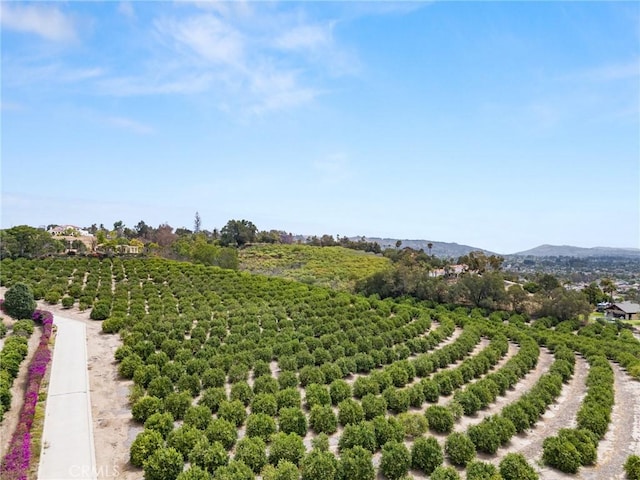 25 Encino Ave, Camarillo, CA 93010
