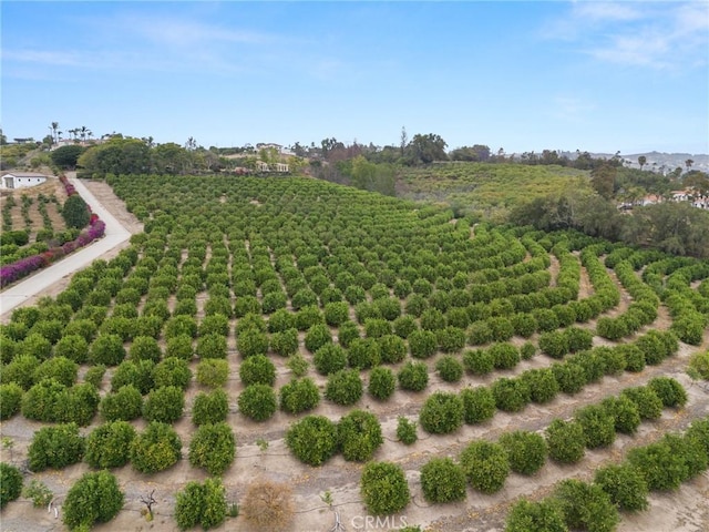 25 Encino Ave, Camarillo, CA 93010
