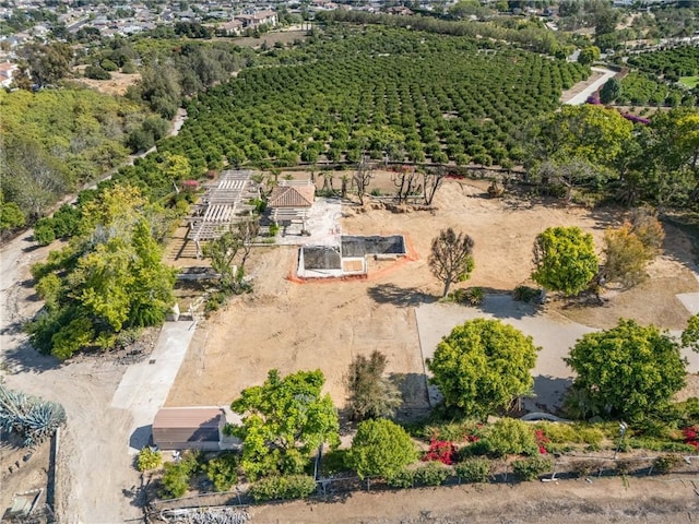 25 Encino Ave, Camarillo, CA 93010