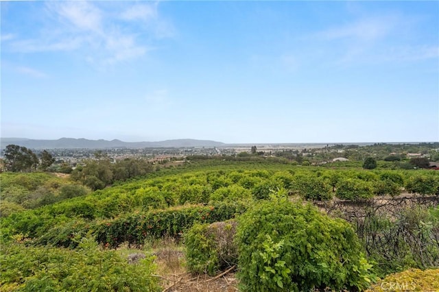 25 Encino Ave, Camarillo, CA 93010
