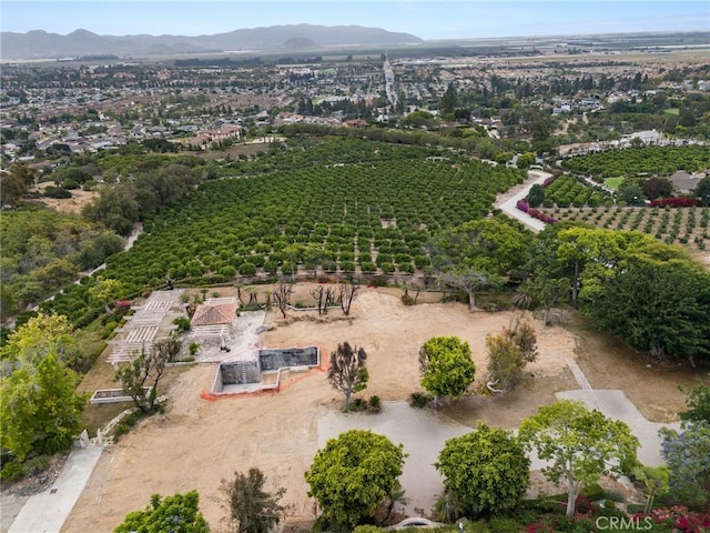 25 Encino Ave, Camarillo, CA 93010