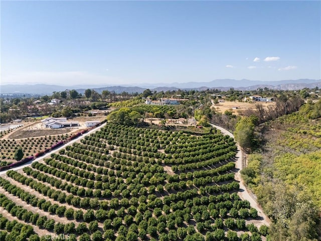 25 Encino Ave, Camarillo, CA 93010