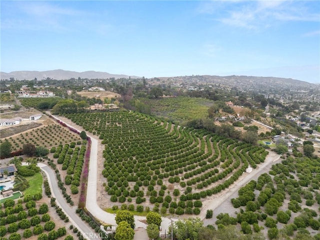 25 Encino Ave, Camarillo, CA 93010