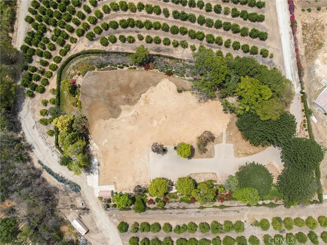 25 Encino Ave, Camarillo, CA 93010