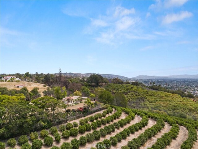 25 Encino Ave, Camarillo, CA 93010