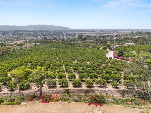 25 Encino Ave, Camarillo, CA 93010