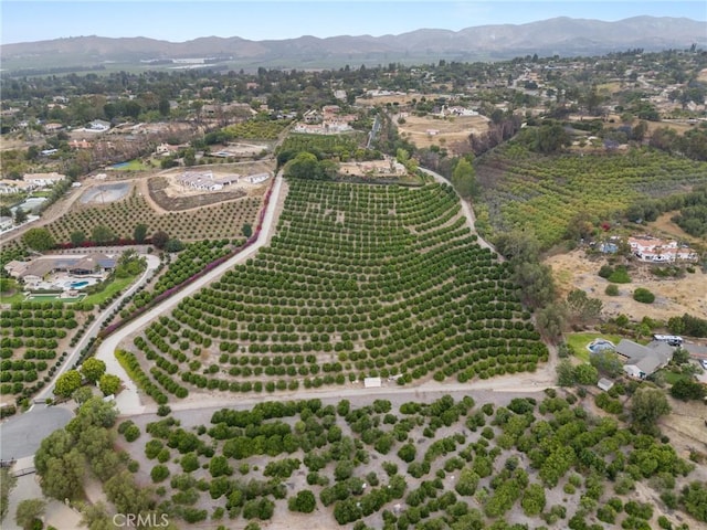 25 Encino Ave, Camarillo, CA 93010