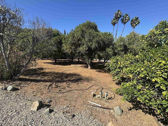3131 Summit Dr, Escondido, CA 92025 - photo 10