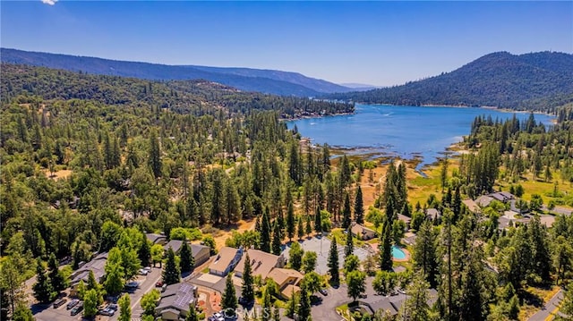40333 Rd 222 Unit 102, Bass Lake, CA 93604 - photo 48