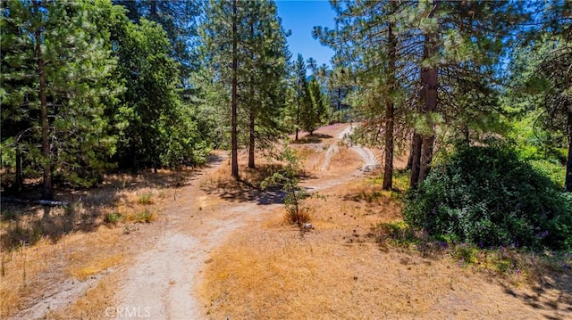 40333 Rd 222 Unit 102, Bass Lake, CA 93604 - photo 49