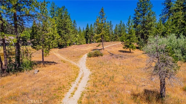 40333 Rd 222 Unit 102, Bass Lake, CA 93604 - photo 55