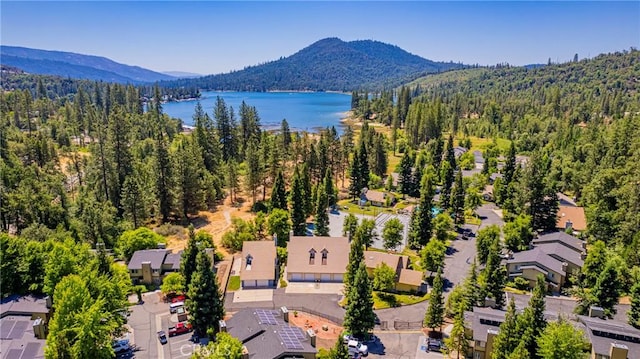 40333 Rd 222 Unit 102, Bass Lake, CA 93604 - photo 2