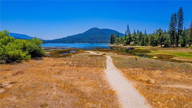 40333 Rd 222 Unit 102, Bass Lake, CA 93604 - photo 54