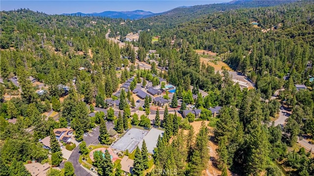 40333 Rd 222 Unit 102, Bass Lake, CA 93604 - photo 51