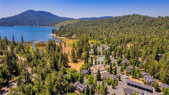 40333 Rd 222 Unit 102, Bass Lake, CA 93604 - photo 47