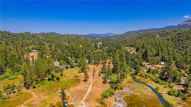40333 Rd 222 Unit 102, Bass Lake, CA 93604 - photo 45