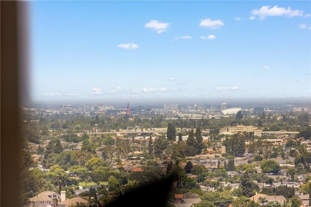 12284 Circula Panorama, Santa Ana, CA 92705 - photo 36