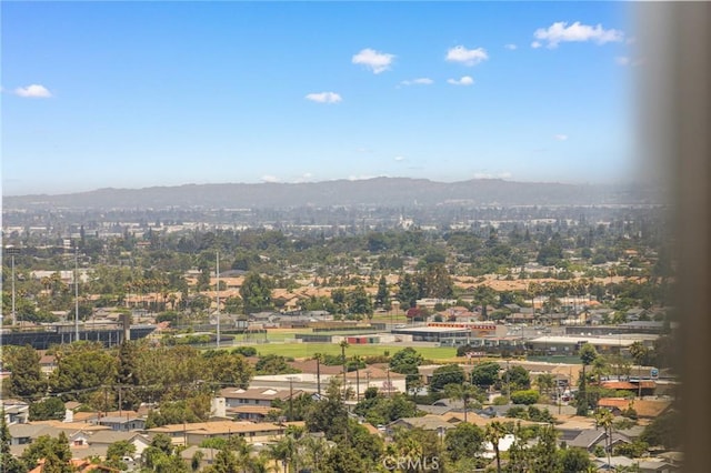 12284 Circula Panorama, Santa Ana, CA 92705 - photo 33