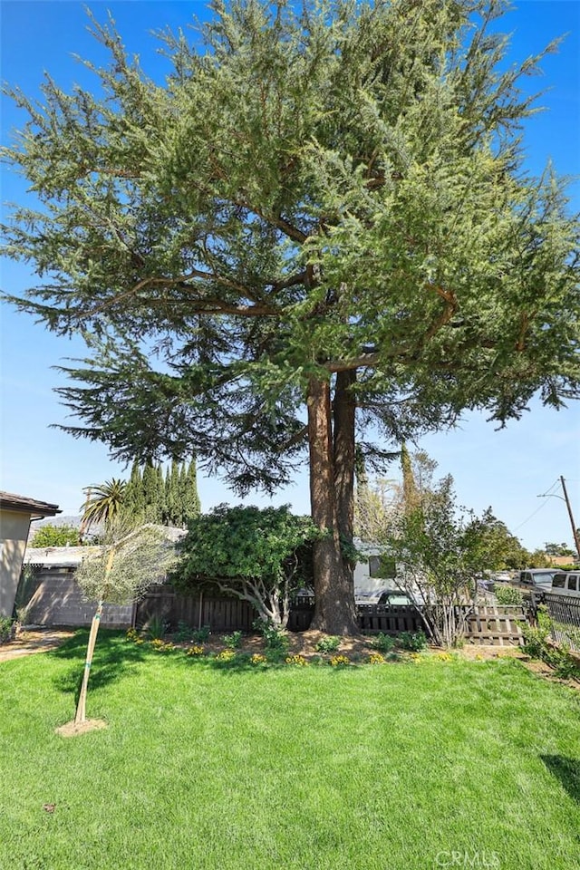 3739 Elma Rd, Pasadena, CA 91107 - photo 56