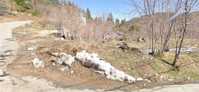 2379 Chicago Dr, Running Springs, CA 92382 - photo 4