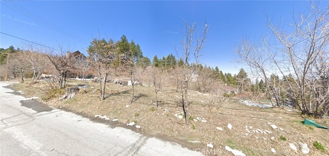 2379 Chicago Dr, Running Springs, CA 92382 - photo 1