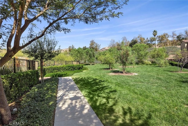 144 Elkhorn, Irvine, CA 92618 - photo 26