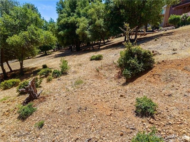 3592 Pine Terrace Dr, Kelseyville, CA 95451 - photo 52