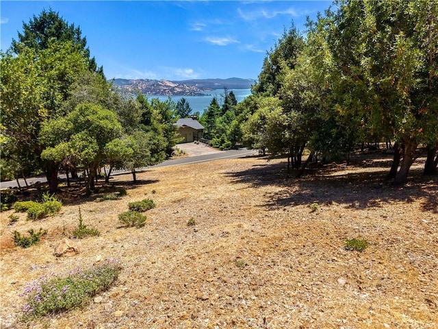 3592 Pine Terrace Dr, Kelseyville, CA 95451 - photo 50