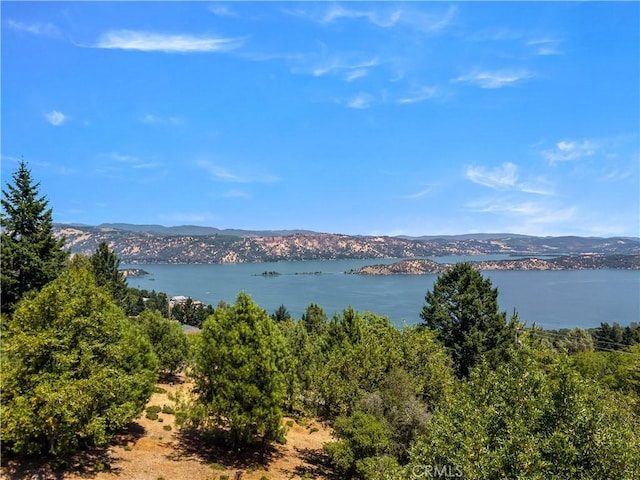 3592 Pine Terrace Dr, Kelseyville, CA 95451 - photo 43