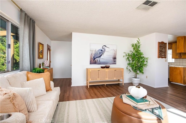 46404 Kings Canyon Rd, Lancaster, CA 93536 - living room featuring wood finished floors, healthy amount of natural light, and a textured ceiling